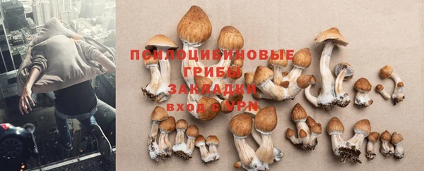 бошки Белокуриха