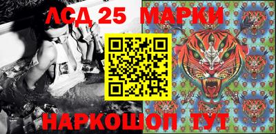 2c-b Бердск