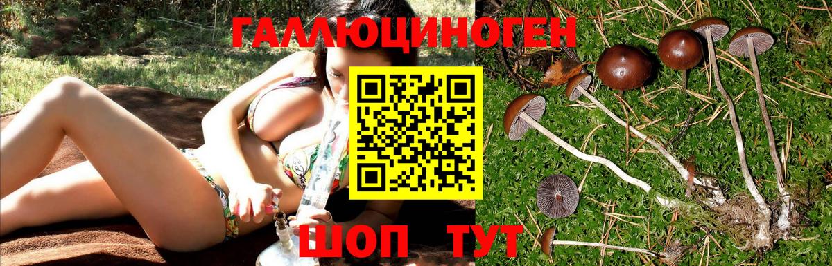 Галлюциногенные грибы MAGIC MUSHROOMS  Вход с VPN  Горячий Ключ 